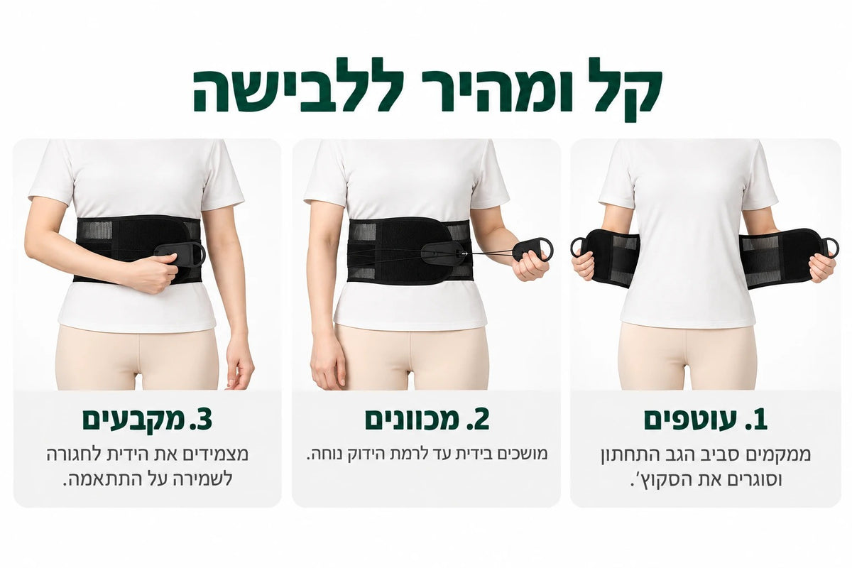 תומך גב יציב+